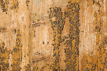 Old wooden texture as background.