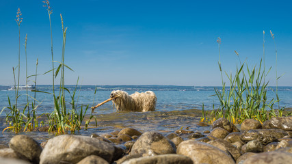 Fototapete bei efototapeten.de bestellen