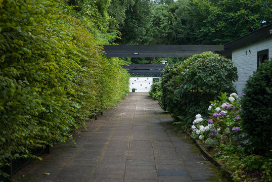 Back yard of the house in the form of an avenue, with plants and flowers, Germany, Hamburg.