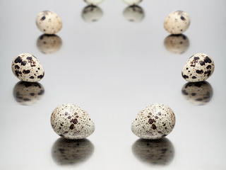 Quail eggs on a mirror metallic background.