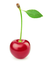 Fresh cherry berry with leaf isolated on the white background with clipping path. One of the best isolated cherries that you have seen.
