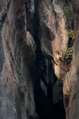Foto op Canvas big canyon between mossy rocks  © goami