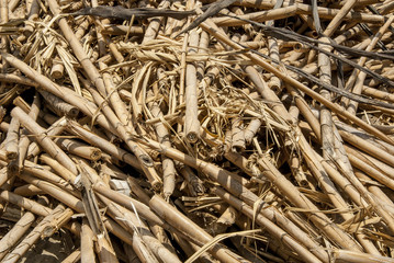 Bamboo timber construction material