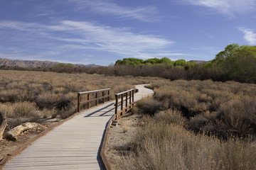 Walkway in Big Morongo Canyon Preserve 