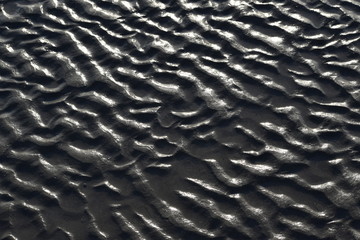 wet sand on the beach in Iran