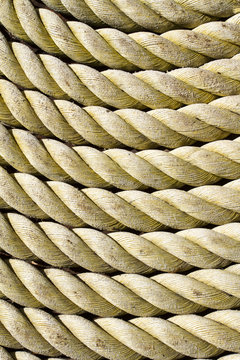 ROPE COIL STEPPING STONE
