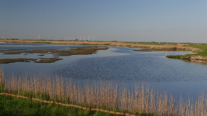 Polder in Olanda