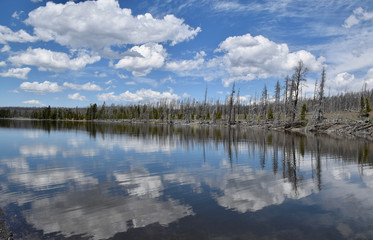 Fototapeta premium Reflection pictures. The best reflections of nature in The Yellowstone Lake.