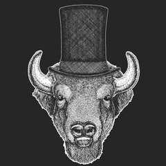 Buffalo, bison,ox, bull Top hat, cylinder. Hipster animal, gentleman. Classic headdress. Print for children t-shirt, kids clothing.