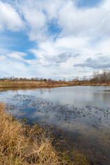 Fototapeta premium Spring Skies