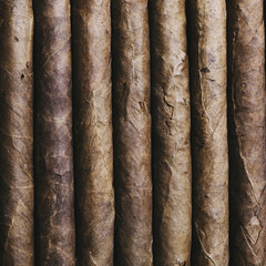 Cuban cigars close up, background. Directly from above top view .