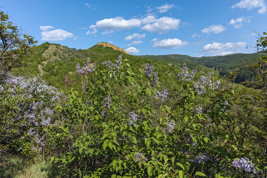 Spring Landscape near rock formation Stob pyramids, Rila Mountain, Kyustendil region, Bulgaria