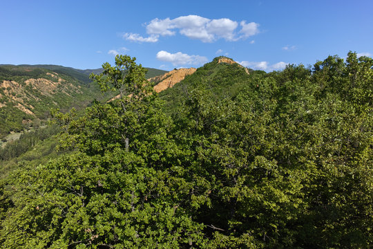 Spring Landscape near rock formation Stob pyramids, Rila Mountain, Kyustendil region, Bulgaria