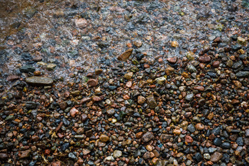 Pebble on the beach