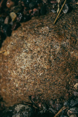 STONE TEXTURE concrete