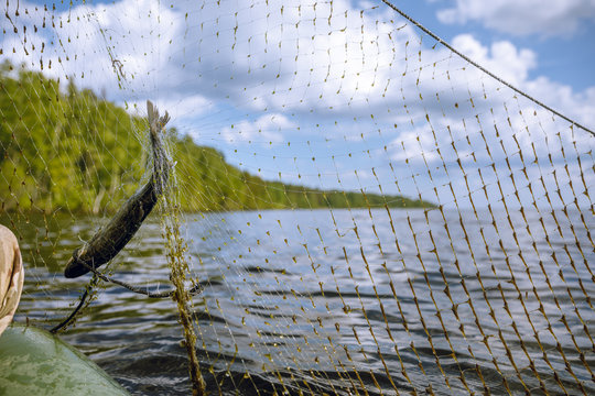 Fishing Nets On A Boat