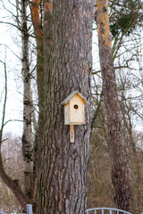 Wooden birdhouse hanging on a tree