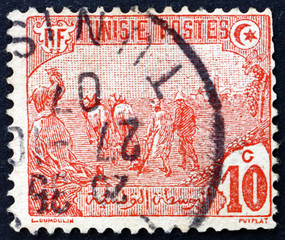 Postage stamp Tunisia 1906 Plowing