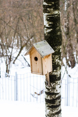 Wooden birdhouse hanging on a tree