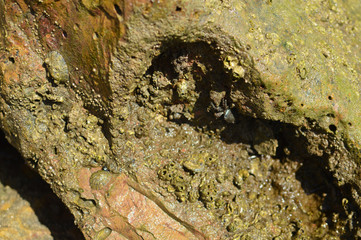 Natural stone gray color textured background