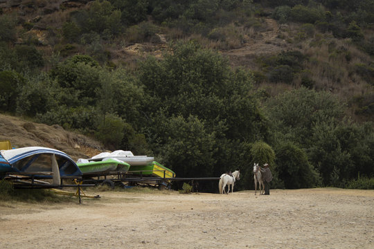 Paisaje con caballos