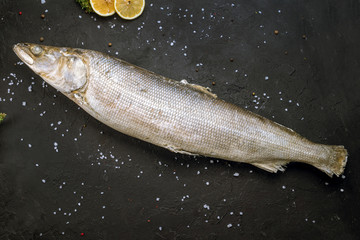 Frozen fish on black concrete