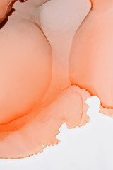 Alcohol Ink Composition