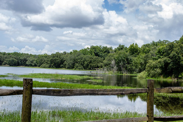 Withlacoochee State Forest
