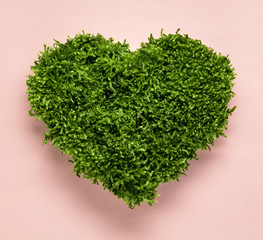 Obraz na płótnie Canvas Green moss heart shape