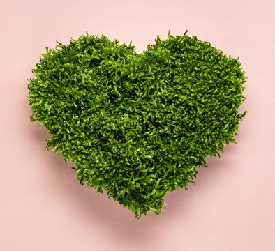 Green moss heart shape