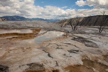 Mammoth Hot Springs. Yellowstone National Park