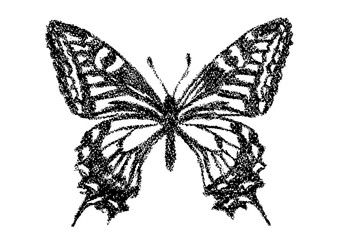 クレヨンで描いたアゲハチョウ