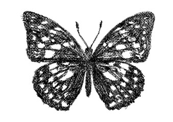 クレヨンで描いたオオムラサキ