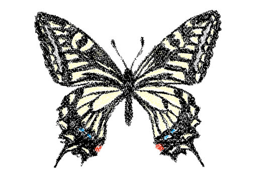 クレヨンで描いたアゲハチョウ
