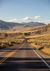 Road Along Yellowstone National Park