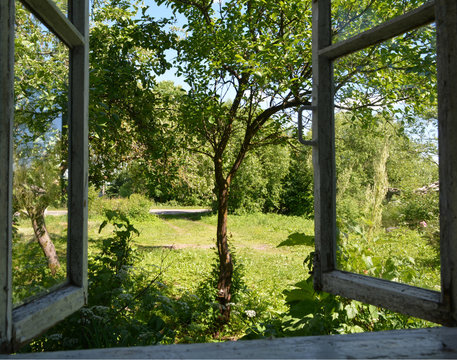 old white wooden open window into the garden with trees sunny day
