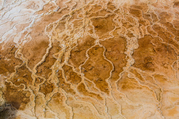 Mammoth Hot Springs. Yellowstone National Park