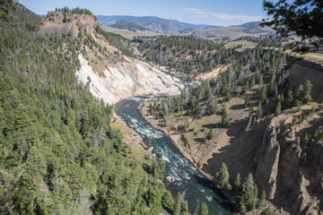 Grand Canyon of the Yellowstone in Yellowstone National Park, Wyoming.