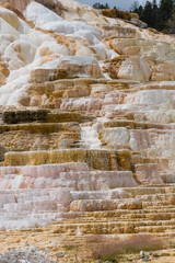 Mammoth Hot Springs. Yellowstone National Park