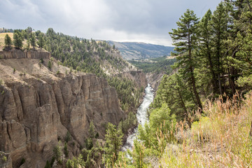 Grand Canyon of the Yellowstone in Yellowstone National Park, Wyoming.
