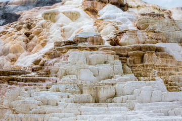 Mammoth Hot Springs. Yellowstone National Park
