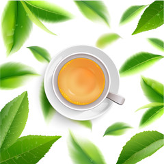 Black tea cup with mint leaves isolated