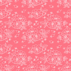 dogrose flowers and fruits