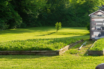 Glowing Green Garden