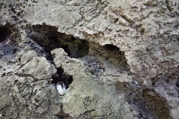 stone texture, Old cracked stone wall background, Rock, concrete background. Empty concept.