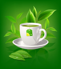 Green tea leaves vector nature background.