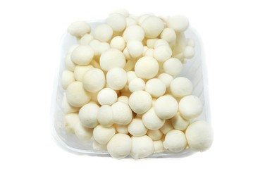 Top view of fresh beech mushroom or Buna shimeji isolated on white background. (Hypsizygus marmoreus (Peck) Bigelow, Hon shimeji, white clamshell mushroom, edible)