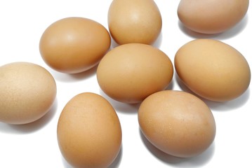 Top view of egg  isolated on white background. Copy space, eight