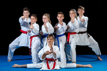 young, beautiful, successful multi ethical karate kids in karate position.