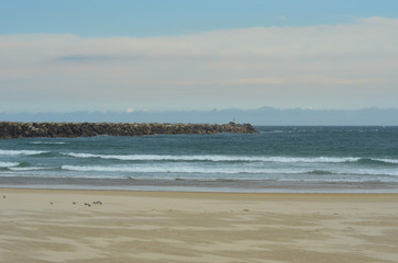 Seagulls on an empty winter beach.